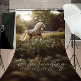 Aperturee - Aperturee Summer Sunlight Grassland Sunny Pony Sweep Backdrop